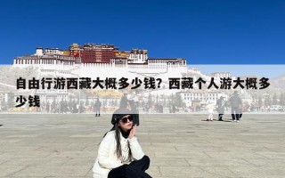 自由行游西藏大概多少钱？西藏个人游大概多少钱