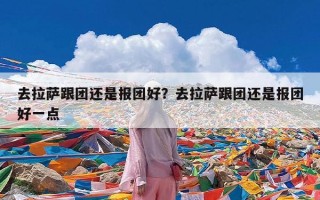 去拉萨跟团还是报团好？去拉萨跟团还是报团好一点
