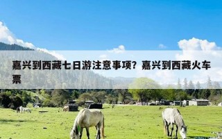 嘉兴到西藏七日游注意事项？嘉兴到西藏火车票