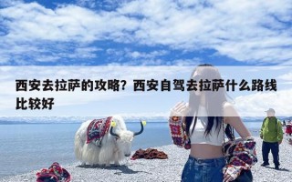 西安去拉萨的攻略？西安自驾去拉萨什么路线比较好