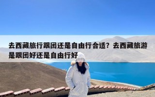 去西藏旅行跟团还是自由行合适？去西藏旅游是跟团好还是自由行好