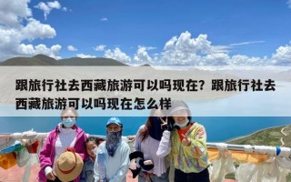 跟旅行社去西藏旅游可以吗现在？跟旅行社去西藏旅游可以吗现在怎么样