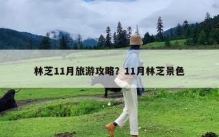 林芝11月旅游攻略？11月林芝景色