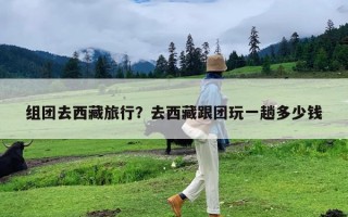 组团去西藏旅行？去西藏跟团玩一趟多少钱