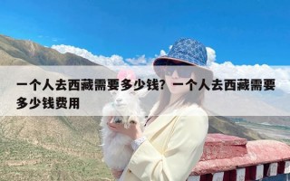 一个人去西藏需要多少钱？一个人去西藏需要多少钱费用