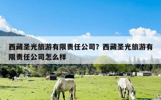 西藏圣光旅游有限责任公司？西藏圣光旅游有限责任公司怎么样