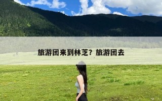 旅游团来到林芝？旅游团去