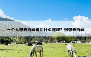 一个人想去西藏说明什么道理？很想去西藏