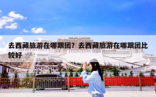 去西藏旅游在哪跟团？去西藏旅游在哪跟团比较好