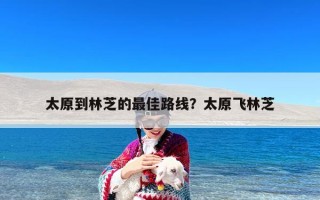 太原到林芝的最佳路线？太原飞林芝