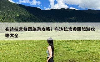 布达拉宫参团旅游攻略？布达拉宫参团旅游攻略大全