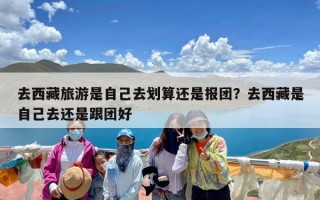 去西藏旅游是自己去划算还是报团？去西藏是自己去还是跟团好