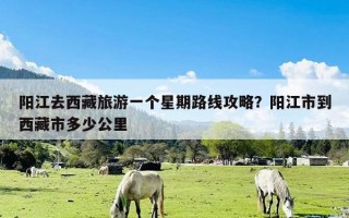 阳江去西藏旅游一个星期路线攻略？阳江市到西藏市多少公里