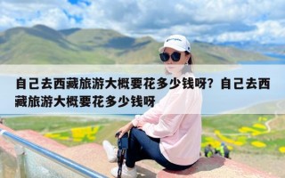 自己去西藏旅游大概要花多少钱呀？自己去西藏旅游大概要花多少钱呀