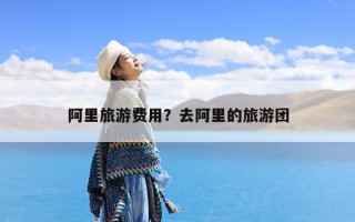 阿里旅游费用？去阿里的旅游团
