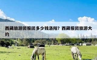 西藏旅游团报团多少钱洛阳？西藏报团旅游大约