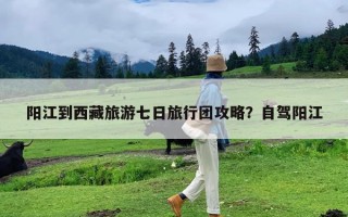 阳江到西藏旅游七日旅行团攻略？自驾阳江