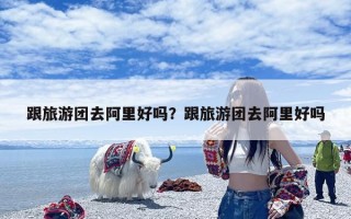 跟旅游团去阿里好吗？跟旅游团去阿里好吗