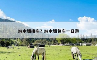 纳木错拼车？纳木错包车一日游