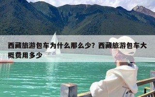 西藏旅游包车为什么那么少？西藏旅游包车大概费用多少