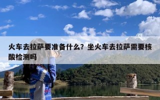 火车去拉萨要准备什么？坐火车去拉萨需要核酸检测吗