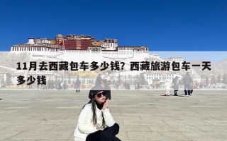 11月去西藏包车多少钱？西藏旅游包车一天多少钱
