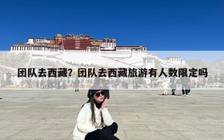 团队去西藏？团队去西藏旅游有人数限定吗
