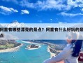 阿里有哪些漂亮的景点？阿里有什么好玩的景点