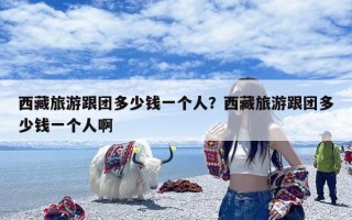 西藏旅游跟团多少钱一个人？西藏旅游跟团多少钱一个人啊