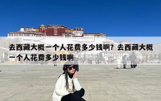 去西藏大概一个人花费多少钱啊？去西藏大概一个人花费多少钱啊