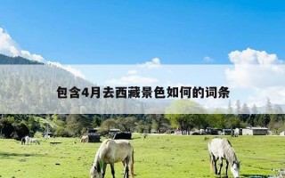 包含4月去西藏景色如何的词条