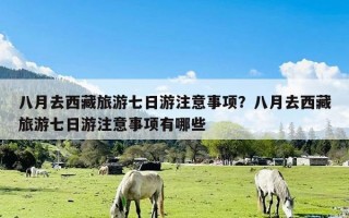 八月去西藏旅游七日游注意事项？八月去西藏旅游七日游注意事项有哪些