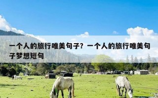 一个人的旅行唯美句子？一个人的旅行唯美句子梦想短句