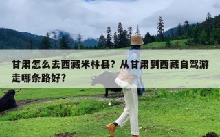 甘肃怎么去西藏米林县？从甘肃到西藏自驾游走哪条路好?