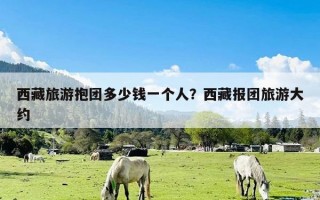 西藏旅游抱团多少钱一个人？西藏报团旅游大约
