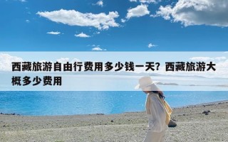 西藏旅游自由行费用多少钱一天？西藏旅游大概多少费用