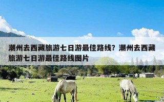 潮州去西藏旅游七日游最佳路线？潮州去西藏旅游七日游最佳路线图片