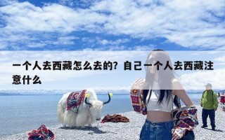 一个人去西藏怎么去的？自己一个人去西藏注意什么