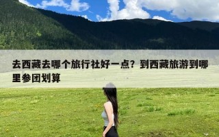 去西藏去哪个旅行社好一点？到西藏旅游到哪里参团划算