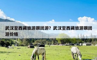 武汉至西藏旅游跟团游？武汉至西藏旅游跟团游价格