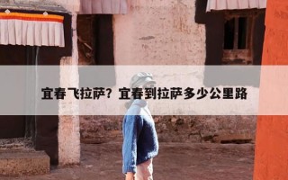 宜春飞拉萨？宜春到拉萨多少公里路