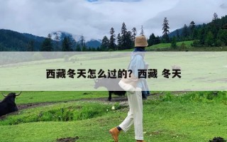 西藏冬天怎么过的？西藏 冬天