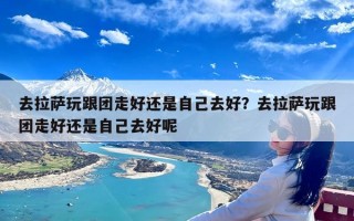 去拉萨玩跟团走好还是自己去好？去拉萨玩跟团走好还是自己去好呢