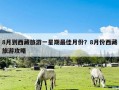 8月到西藏旅游一星期最佳月份？8月份西藏旅游攻略