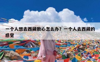 一个人想去西藏散心怎么办？一个人去西藏的感觉