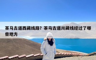 茶马古道西藏线路？茶马古道川藏线经过了哪些地方