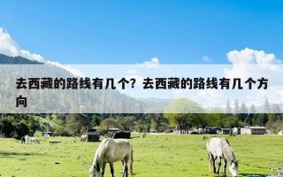 去西藏的路线有几个？去西藏的路线有几个方向