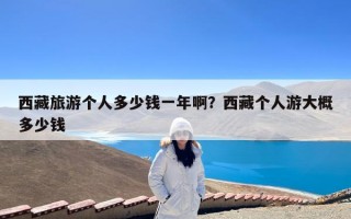 西藏旅游个人多少钱一年啊？西藏个人游大概多少钱