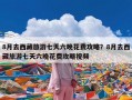 8月去西藏旅游七天六晚花费攻略？8月去西藏旅游七天六晚花费攻略视频