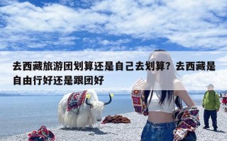 去西藏旅游团划算还是自己去划算？去西藏是自由行好还是跟团好